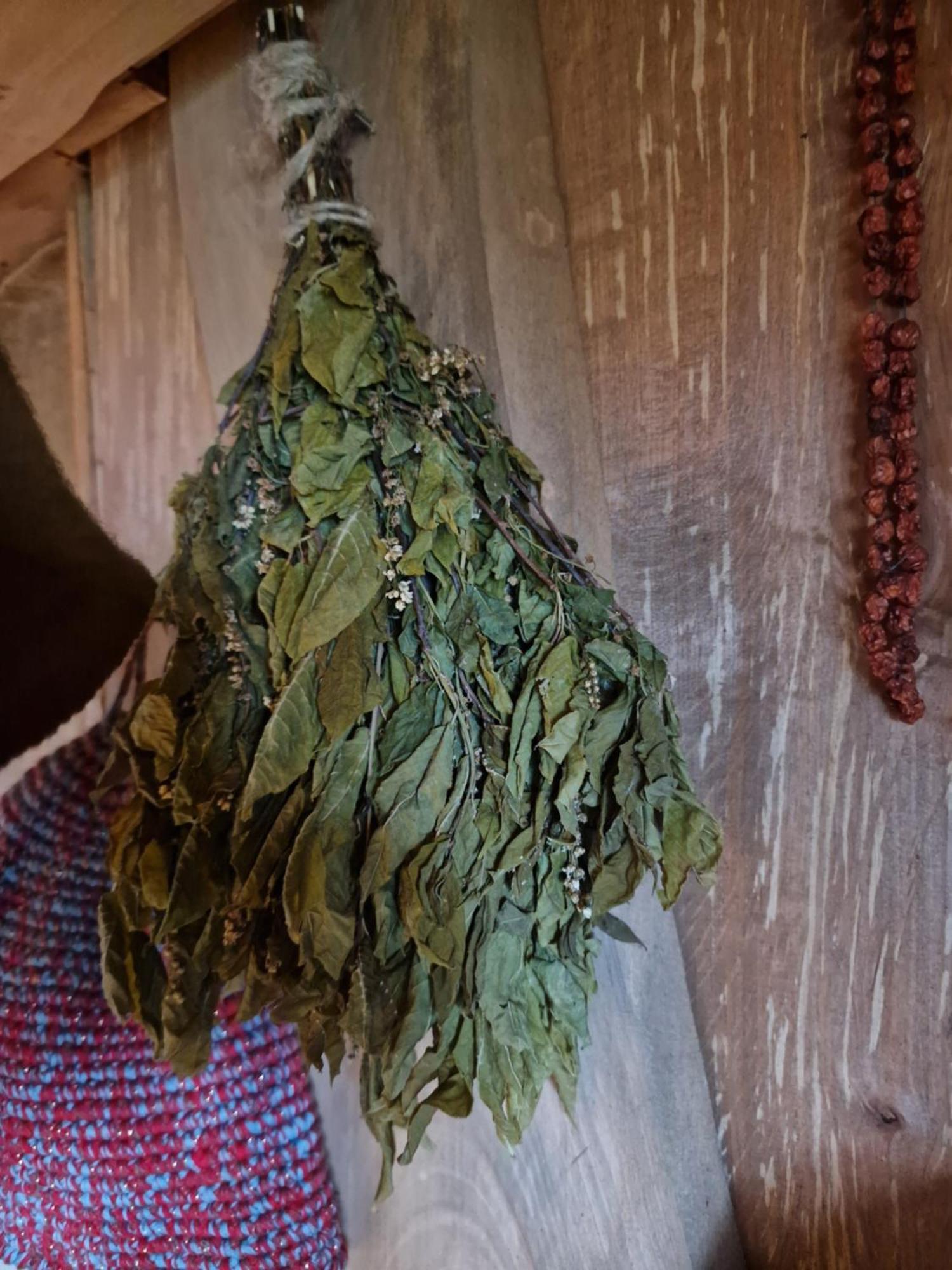 Kaimo Turizmo Sodyba Satavi Kinty المظهر الخارجي الصورة